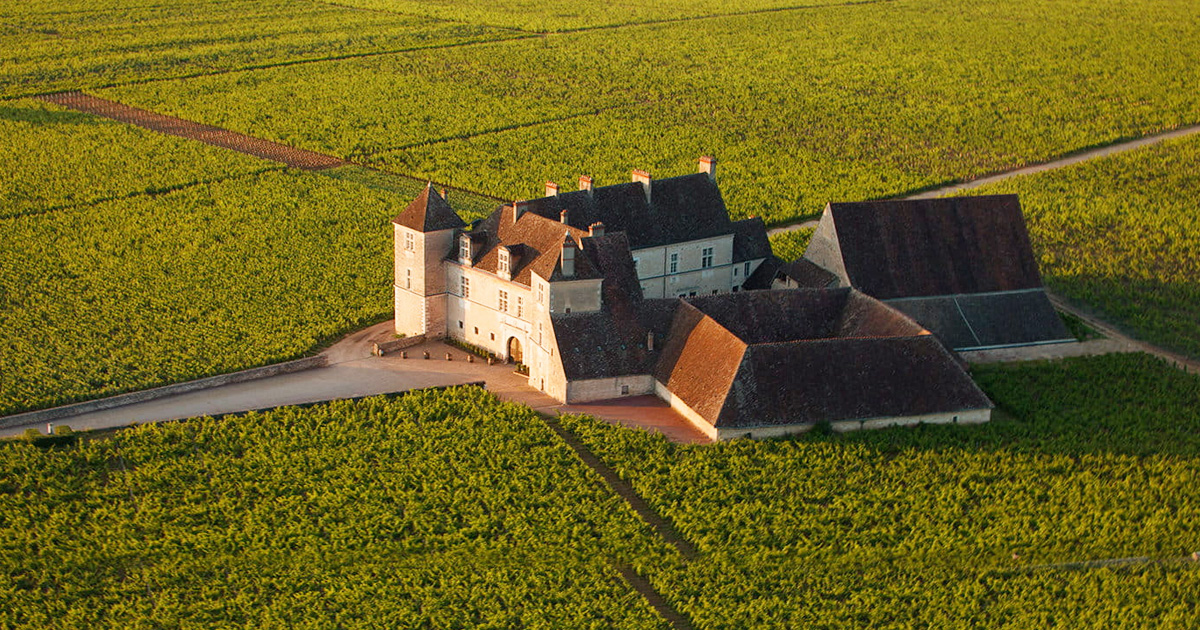 Château Clos de Vougeot surrounded by vines.