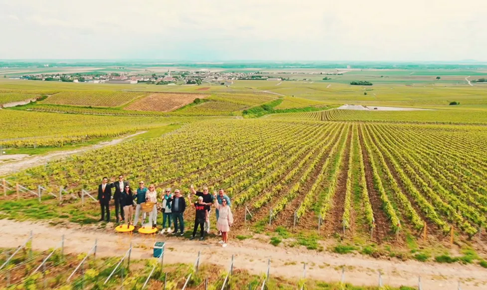 Ultimate Driving Tours’ guests toast a celebration in front of Champagne vines in France