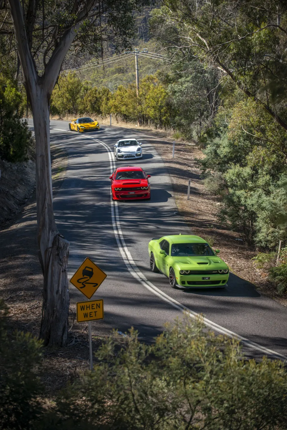 Supercars exploring Tasmanian roads on the UDT Targa Tour in Tasmania